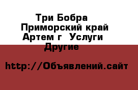 “Три Бобра“ - Приморский край, Артем г. Услуги » Другие   
